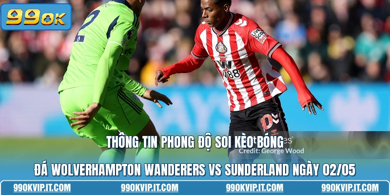 Soi Kèo Bóng Đá Wolverhampton Wanderers Vs Sunderland Ngày 02/05 Thông tin phong độ soi kèo bóng đá Wolverhampton Wanderers vs Sunderland ngày 02/05